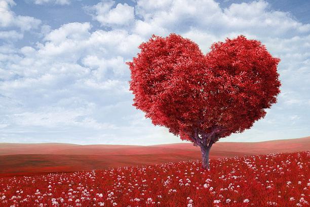 Danas je Dan zaljubljenih – Valentinovo