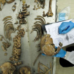 U Tuzli identifikovana još jedna žrtva genocida u Srebrenici
