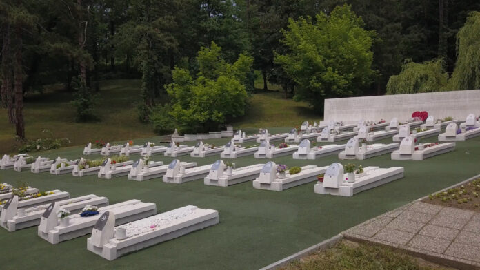 Sjećanje na tuzlansku mladost/Aleja
