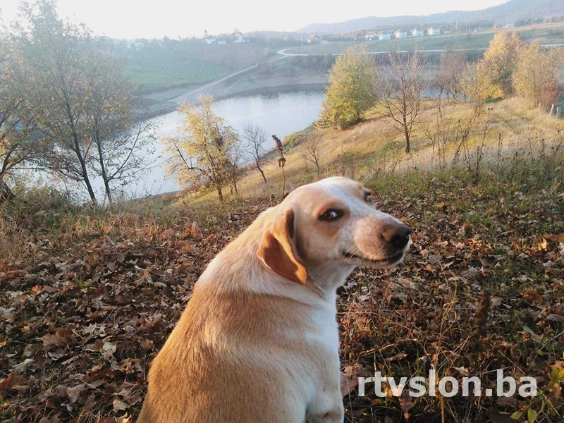 pas cuko foto 1 rtv slon