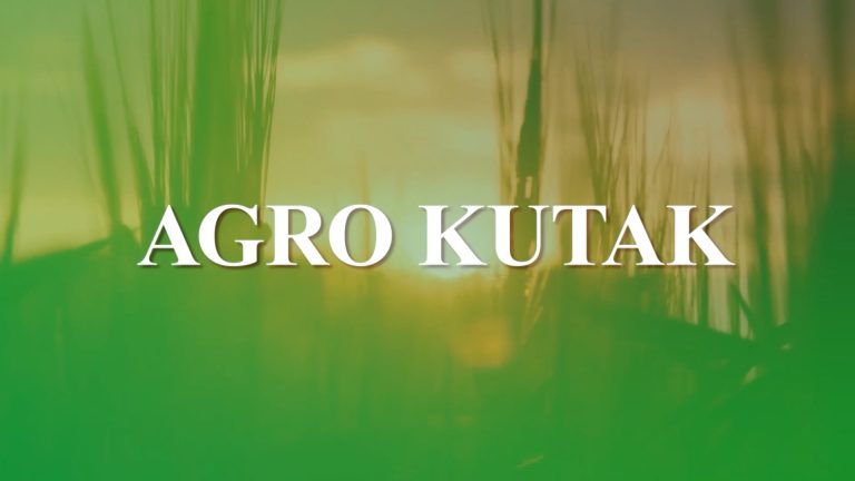 /VIDEO/ Podrška EU poljoprivredno – prehrambenom sektoru u BiH – Agro kutak