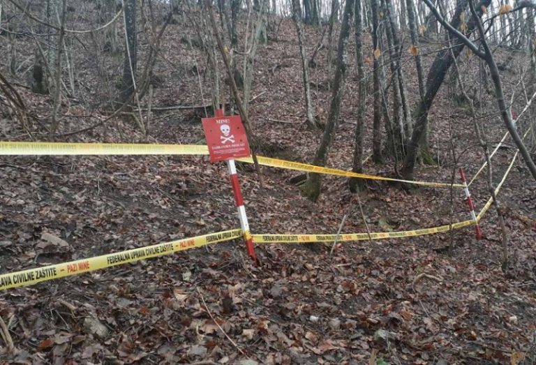 U ovoj godini planirano deminiranje na 65 lokacija