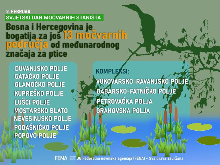 Međunarodni dan močvara: BiH bogatija za 13 močvarnih područja od međunarodnog značaja za ptice