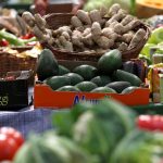 U FBiH porasla vrijednosti prodaje poljoprivrednih proizvoda na zelenim pijacama