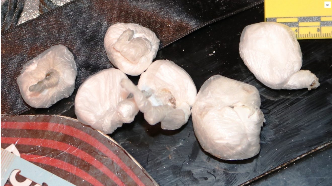 Uprava policije MUP-a TK: Na području Tuzle u pretresu pronađena opojna droga, uhapšene dvije osobe