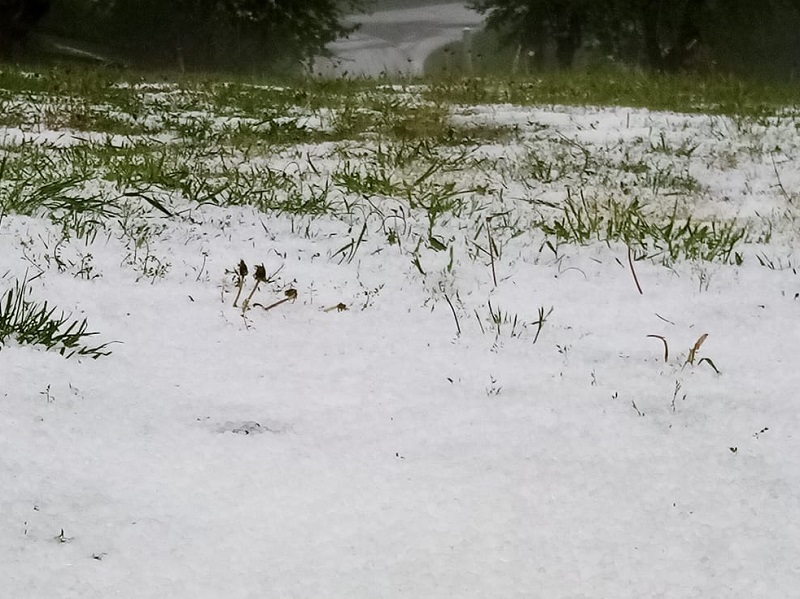 Led zabijelio područje Olova