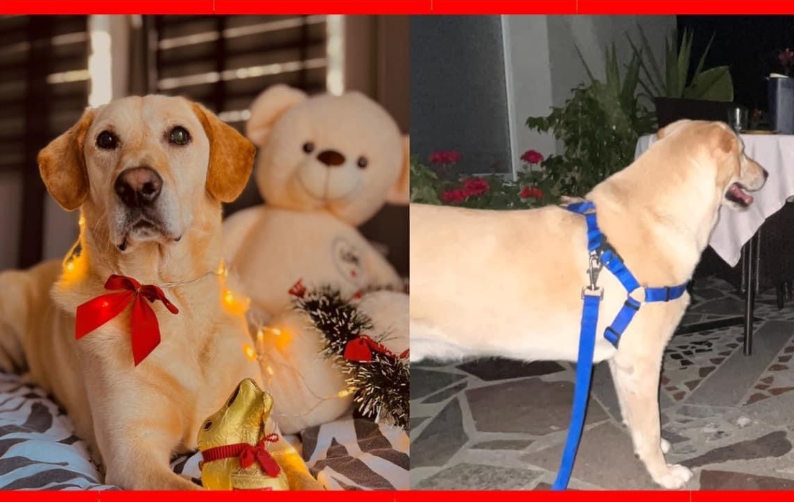 original-C3815AA8-C419-424C-9F9A-35A397DD8652