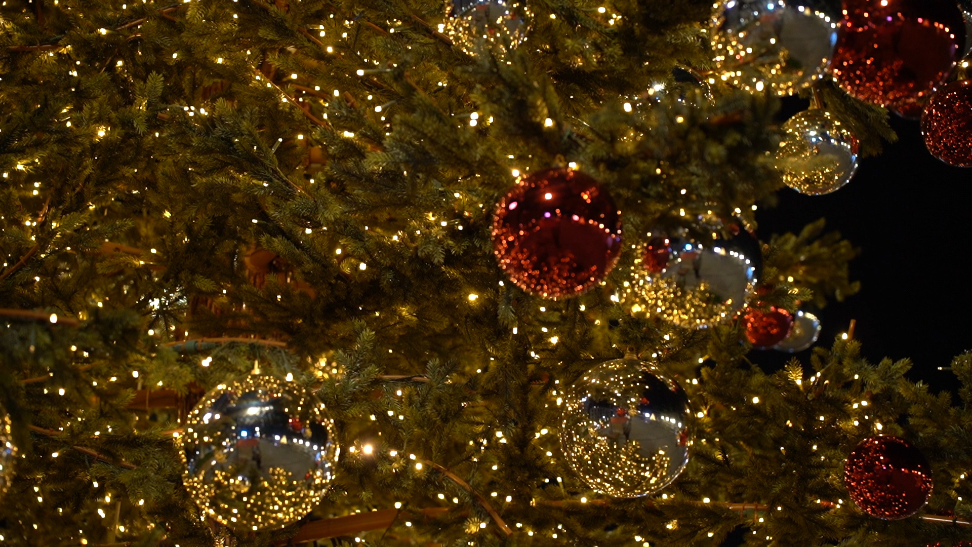 Tuzlanska čarolija Tuzlanska čarolija