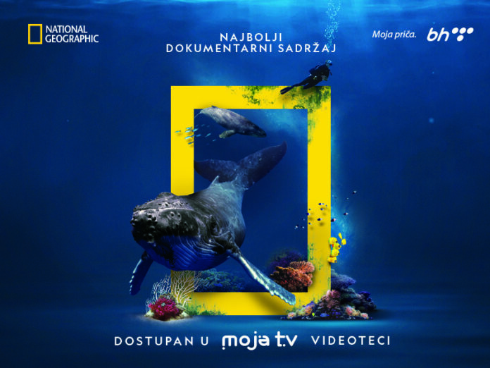 Otkrijte svijet bez granica uz National Geographic u Moja TV videoteci - BH Telecom d.d. Sarajevo