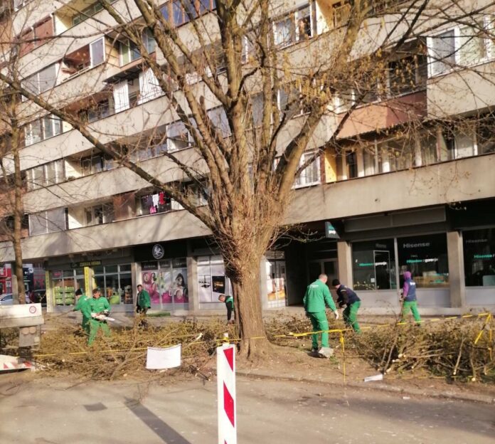 Počelo uređenje zelenih površina