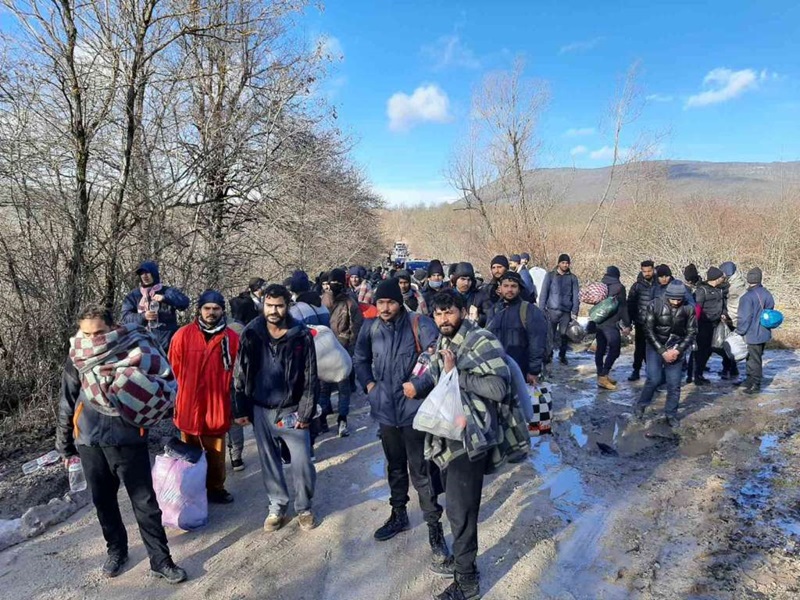migranti, migrant, migranata