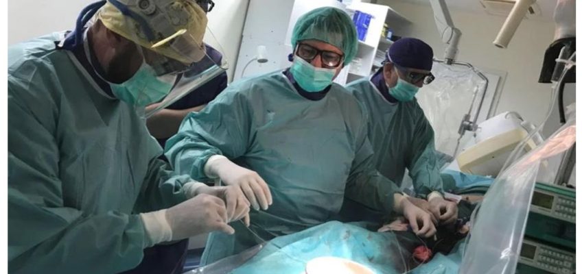 izvođenje 1000-te endovaskularno tretirane intrakranijalne aneurizme.