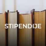 Objavljen konkurs za stipendiranje učenika i studenata sa invaliditetom