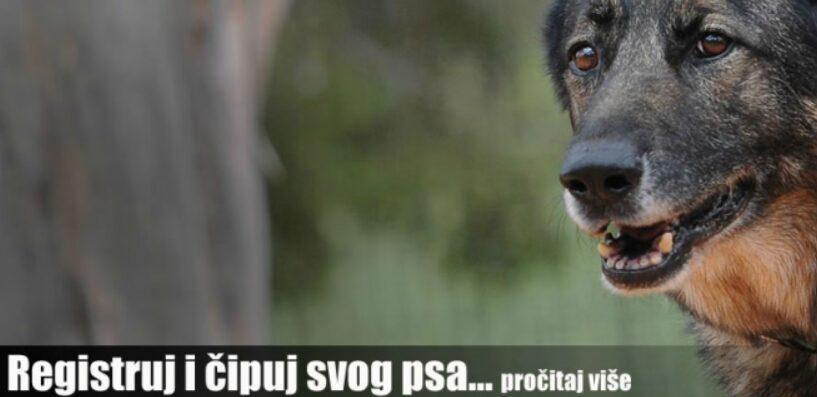 veterinarska stanica Važna obavijest za vlasnike: Obavezna registracija i vakcinacija pasa