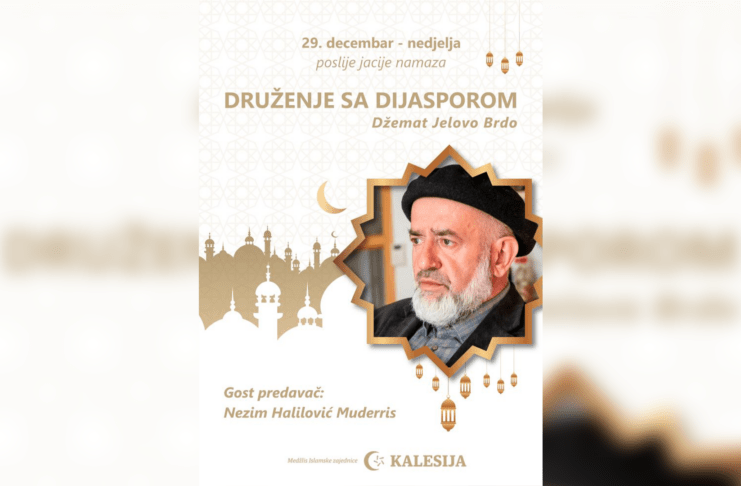 Druženje sa dijasporom