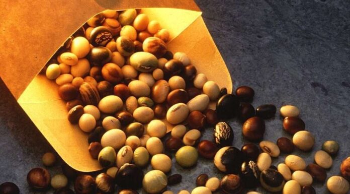 S tržišta BiH povlači se skupina sojinih proizvoda