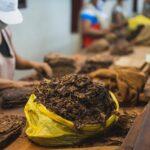 Gasi se i proizvodnja duhana u BiH proizvodnja duhana