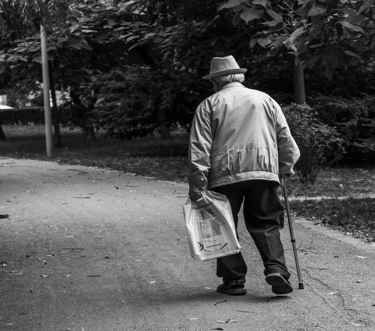 Penzioni sistem BiH pred ozbiljnim izazovima: sve manje zaposlenih, sve više penzionera