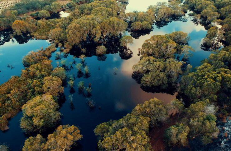 močvara Međunarodni dan vlažnih staništa, spriječimo negativne klimatske promjene