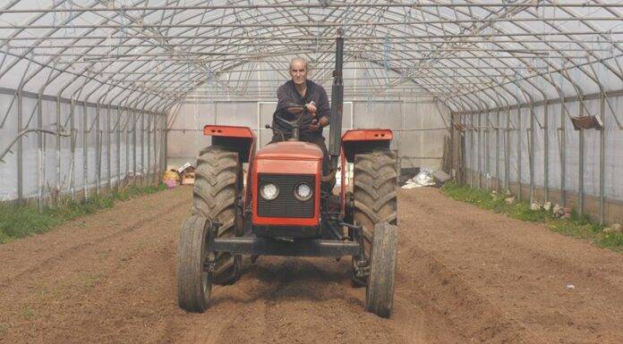 Registrovao je gazdinstvo i sad prodaje 15 tona povrća godišnje – evo kako!