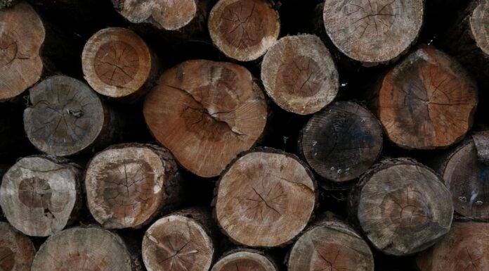 Suficit drvne industrije BiH veći od milijardu KM uprkos padu izvoza Suficit drva, Drvna industrija, drva, šuma, šume, Ukupan promet vanjskotrgovinske razmjene drvne industrije BiH u prvom polugodištu iznosio je 1,113 milijardi KM, što