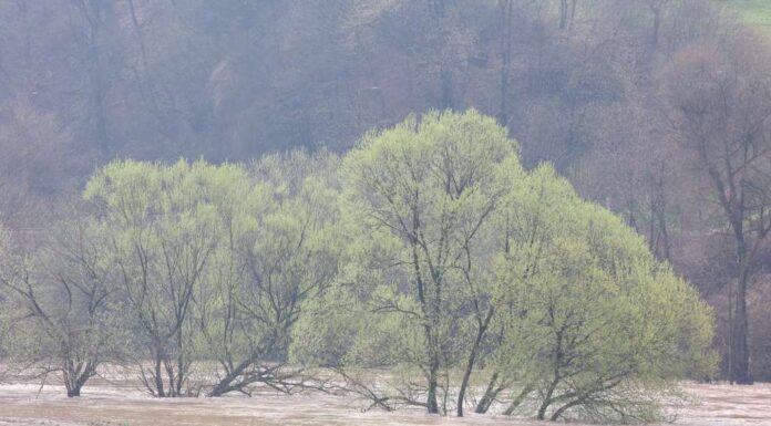 Saobraćaj obustavljen na više putnih pravaca zbog izlijevanja vode