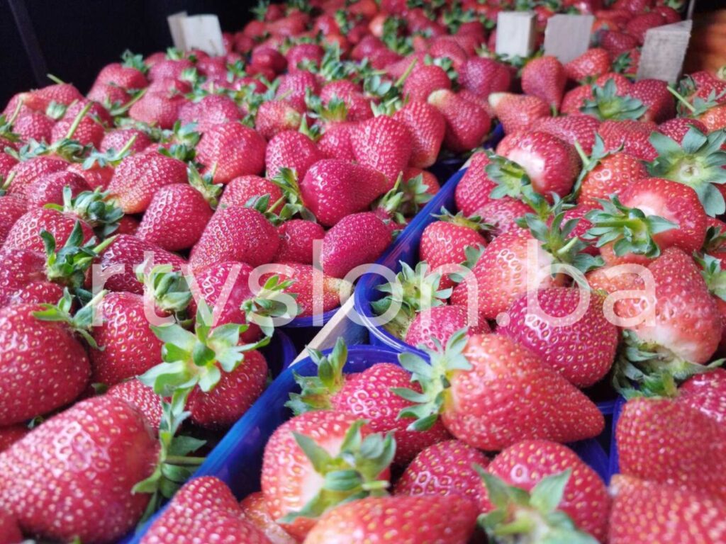 jagode