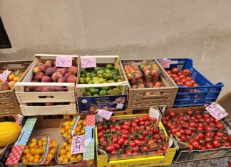 Voće, povrće, Bari, životne namirnice