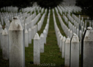 Srebrenica, UK, Genocid, DIjaspora