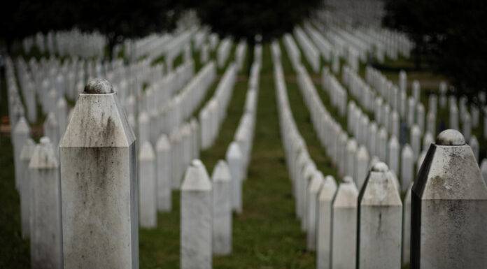 Srebrenica, UK, Genocid, DIjaspora