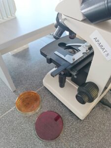 Hemijska škola: Hemijski tehničar – mikrobiolog