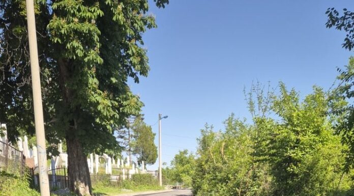 Prva faza radova: Asfaltiran put Ilinčica Put Ilincica