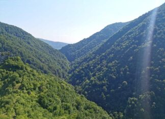 Svjetski dan zaštite okoliša, Majevica, Litij, Klimatske promjene, Pogled na šumovite planine Srednje Bosne obasjane suncem, s dubokom dolinom između