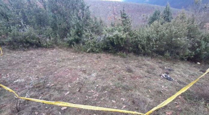 Ekshumirani posmrtni ostaci jedne osobe na području Bratunca