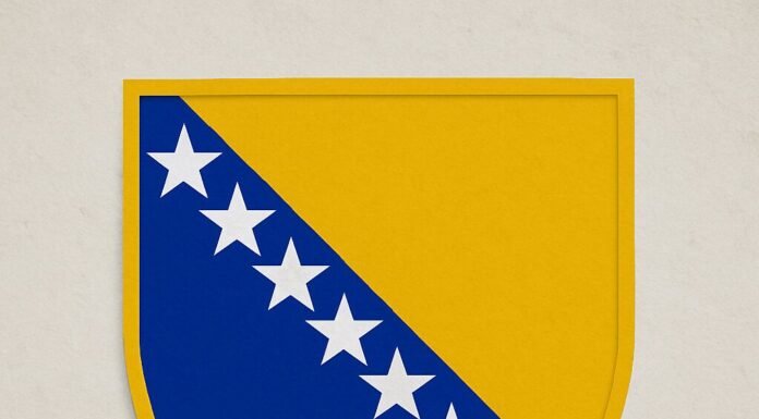 Na današnji dan: Bosna i Hercegovina dobila sadašnji državni grb