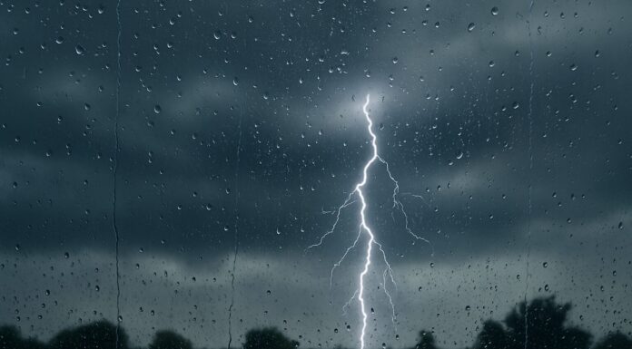 Sprema se nevrijeme? Signali koje lako možemo prepoznati i reagovati na vrijeme Nevrijeme, Bljesak groma kroz prozor prekriven kapima kiše tokom olujnog dana.