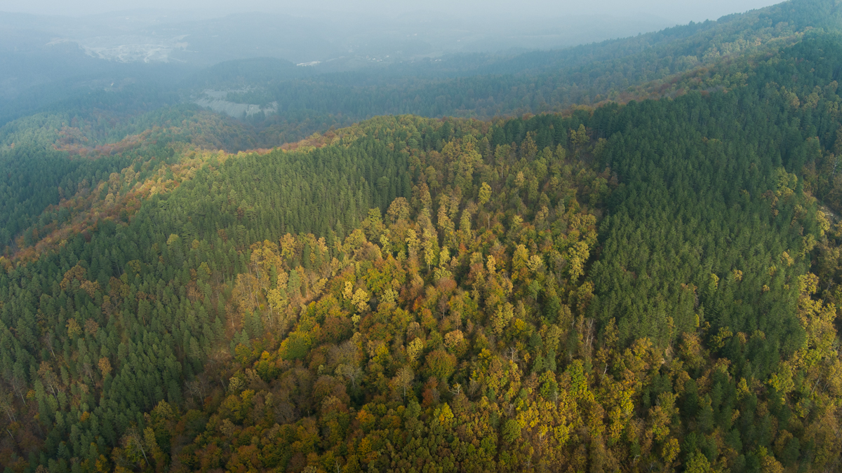 ozren Skupština Grada Doboja proglasila Ozren zaštićenim područjem