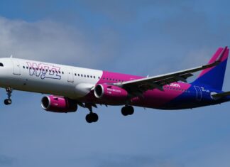 Wizz Air, letovi, letenje, dijaspora, njemačka