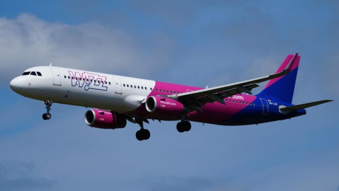 Wizz Air, letovi, letenje, dijaspora, njemačka