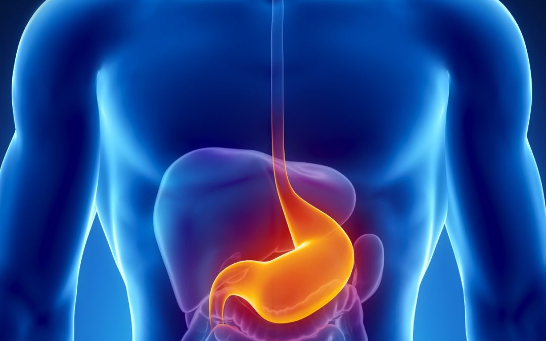 Zgaravica, žgaravica