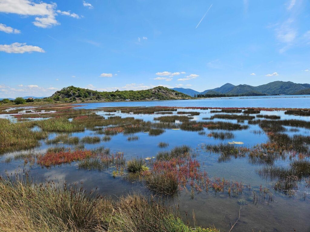 Početak ljeta 2025. ljeto, Delta Neretve u ljetnom periodu s čistim nebom i refleksijama