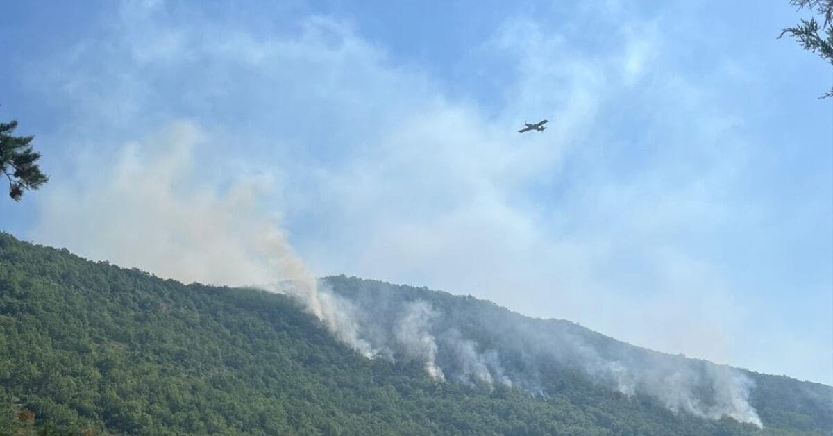 Požar u Grudama: Glavne linije ugašene, zračne snage i dalje aktivne