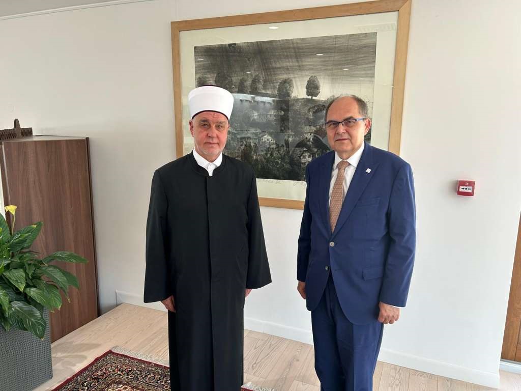 schmidt i kavazovic 1