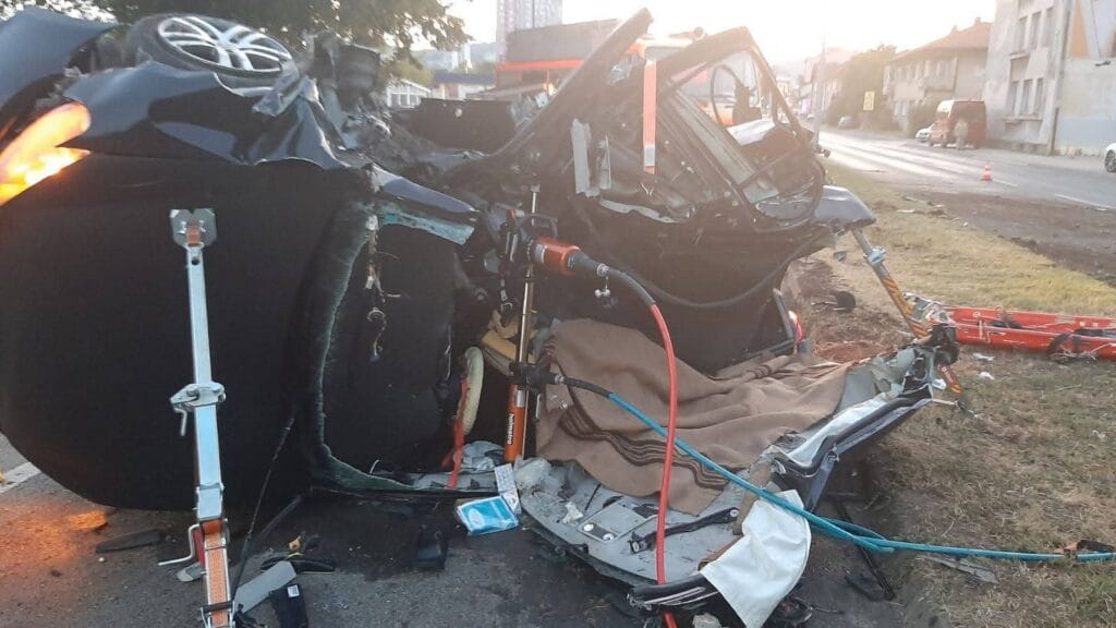 pritvor, nedim hasanbegović