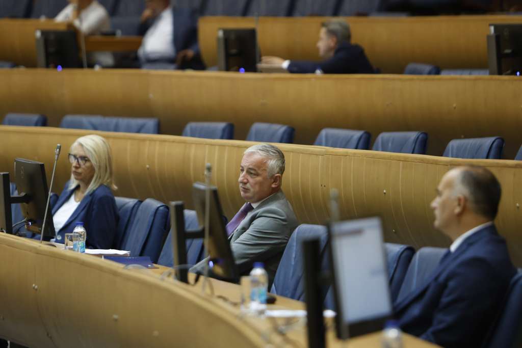 Predstavnicki dom parlamentarne skupstine bih Rasprava poslanika PSBIH o (ne)imenovanju ministra sigurnosti BiH