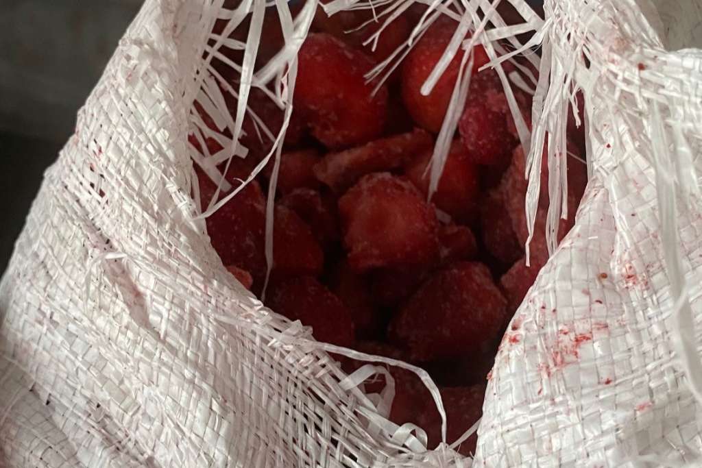 jagode Zabranjen uvoz jagoda iz Egipta i sladoleda iz Turske zbog zdravstvene neispravnosti