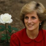 Portret princeze Dijane uz bijelu ružu na zemlji/ Prošlo 28 godina od tragične smrti princeze Dijane