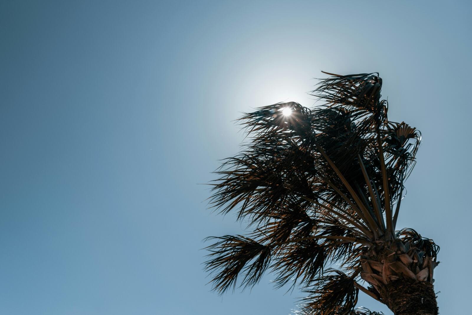 tropske temperature Vrućine se pojačavaju, ali kraj jula donosi osvježenje u cijeloj zemlji