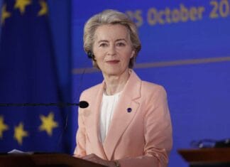 Inicijativu je pokrenuo rumunski poslanik Gheorghe Piperea