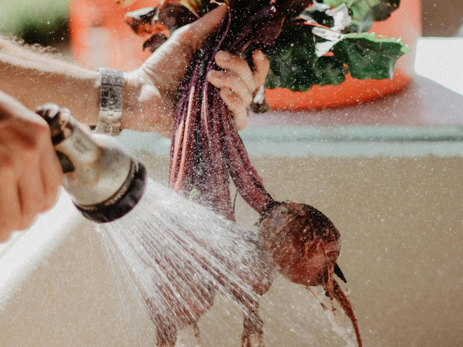 vodovod Servisne informacije, vodovod, vodosnabdijevanje